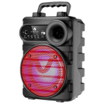 Wireless Portable Speaker With Mic KTS-1512