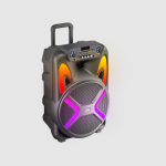 Login 12-inch Wireless Speaker L-265